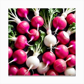 Radishes 2 Canvas Print