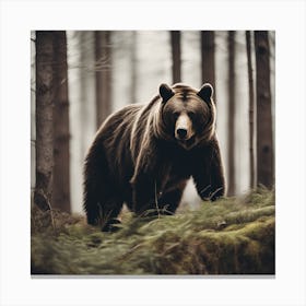 Brown Bear In The Forest Canvas Print