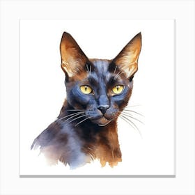 Bombay Chocolate Cat Portrait 2 Canvas Print
