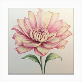 Dahlia 2 Canvas Print