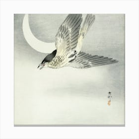 Cuckoo At Crescent Moon (1900 1930), Ohara Koson Canvas Print