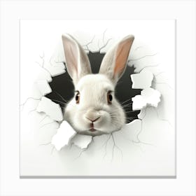 Rabbit Through A Hole Canvas Print