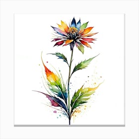 Dahlia 3 Canvas Print