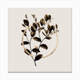 Gold Ring Andromeda Axillaris Bloom Glitter Botanical Illustration Canvas Print