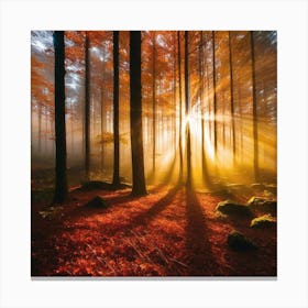 Autumn Forest 118 Canvas Print