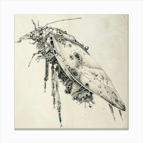 Cockroach Canvas Print