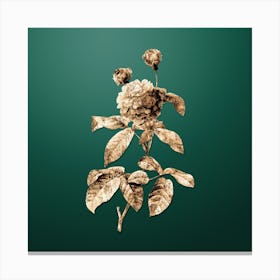 Gold Botanical Agatha Rose in Bloom on Dark Spring Green n.1066 Canvas Print