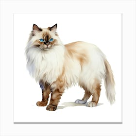 Longhaired Cat Canvas Print