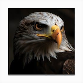 Bald Eagle Canvas Print