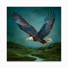 Bald Eagle Canvas Print