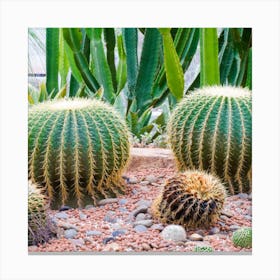 Cactus Garden Canvas Print