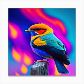 Colorful Bird Canvas Print