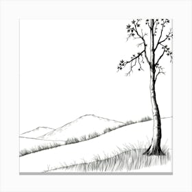 Birch Tree Canvas Print