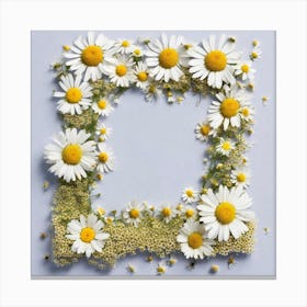 Daisy Frame 3 Canvas Print