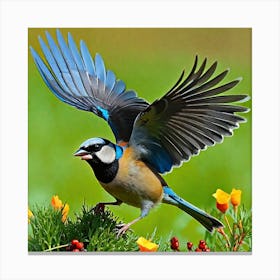 Blue Tit 26 Canvas Print