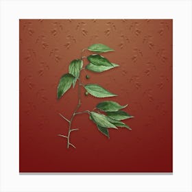 Vintage European Nettle Tree Botanical on Falu Red Pattern n.2504 Canvas Print