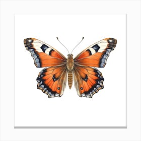 Butterfly 24 Canvas Print