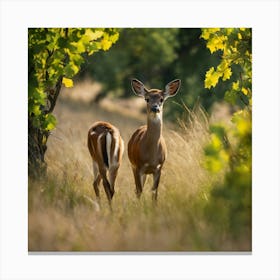 Deer In The Forest 245 Canvas Print