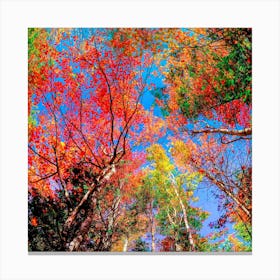 New England Fall Splendor - The Colors of Autumn Canvas Print