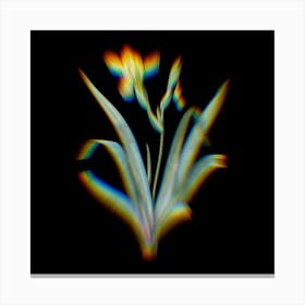 Prism Shift Hungarian Iris Botanical Illustration on Black Canvas Print