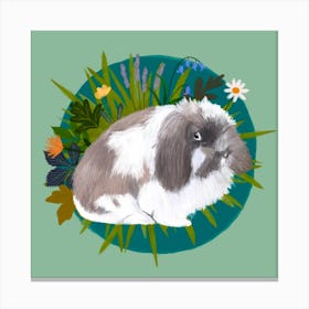 Fluffy Bunny Canvas Print