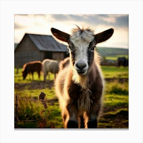 Field Domestic Agriculture Cute Nature Beautiful Rural Herd Farming Animal Farm Farm Anim (3) Canvas Print