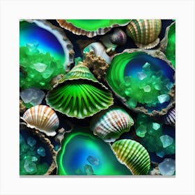 Agates And Shells Canvas Print