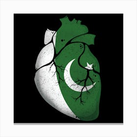 Pakistan Heart Flag Canvas Print
