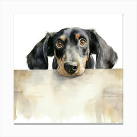 Dachshund 10 Canvas Print