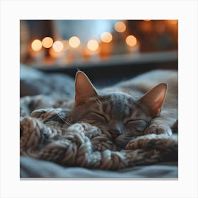 Cat Sleeping On A Blanket Canvas Print