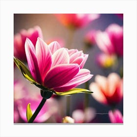 Pink Flowers Wallpaper 1 Canvas Print