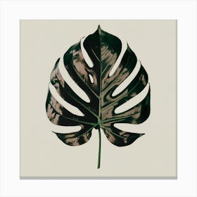 Monstera Leaf Canvas Print