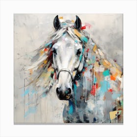 Rare White Horse 3 Canvas Print