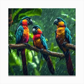 3birds Canvas Print