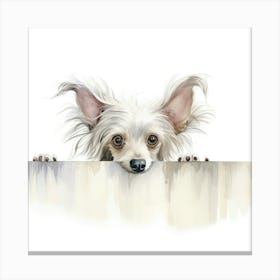 Chihuahua 12 Canvas Print