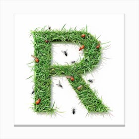 Letter R 4 Canvas Print