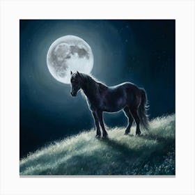 Horse In The Moonlight 39 Canvas Print