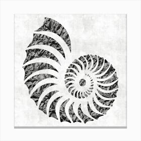 Nautilus Shell Canvas Print