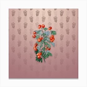Vintage Sweet Scented Hawthorn Botanical on Dusty Pink Pattern n.1711 Canvas Print
