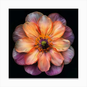 Macro Fl On Blk 20 Canvas Print