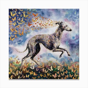 Greyhound With Butterflies Canvas Print