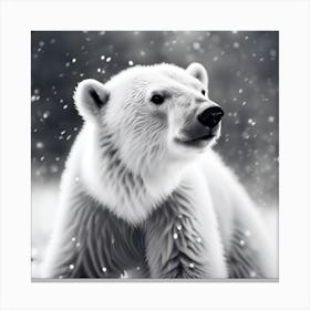 Playful Bear Cub in the Winter Snowfall Canvas Print