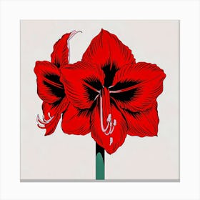 Amaryllis Canvas Print