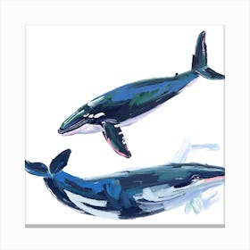Humpback Whale 05 Canvas Print
