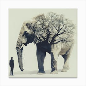 Elephant And Tree Canvas Print