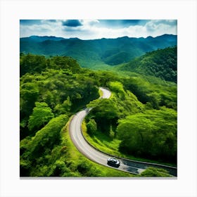 Treetop Car Scenic Tour Tourism Country Rural Green Zigzag Drive Road Background Topview (7) Canvas Print