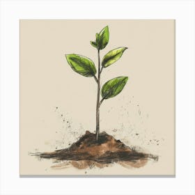 Christianity Growing Plant Canvas Print