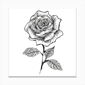 Black And White Rose Canvas Print