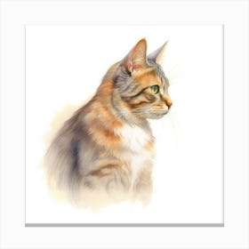 Chartruex Cat Portrait 3 Canvas Print
