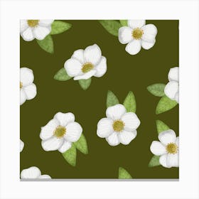 White flower and green leaves on brown Canvas Print